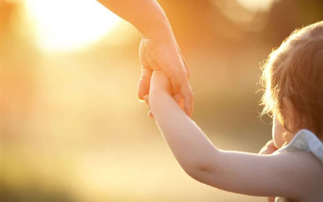 التربية على القيم