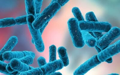 أهم الأمراض التي تسببها البكتيريا