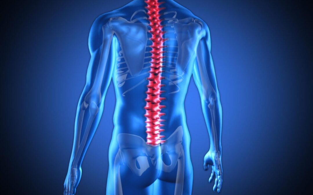 النخاع الشوكي.. وظيفته وأهميته في جسم الإنسان