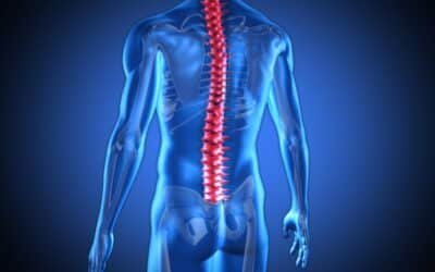 النخاع الشوكي.. وظيفته وأهميته في جسم الإنسان