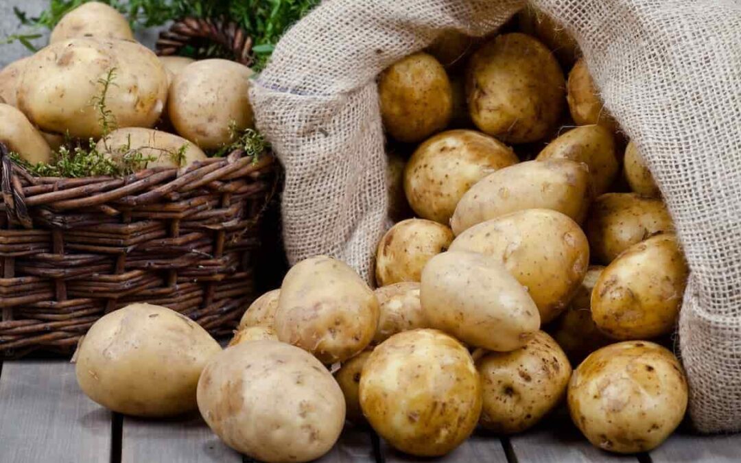فوائد البطاطا لجسم الإنسان