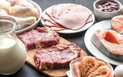 أهمية الدهون لجسم الإنسان