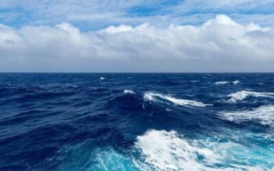 المحيط الهادئ.. أكبر محيط في العالم