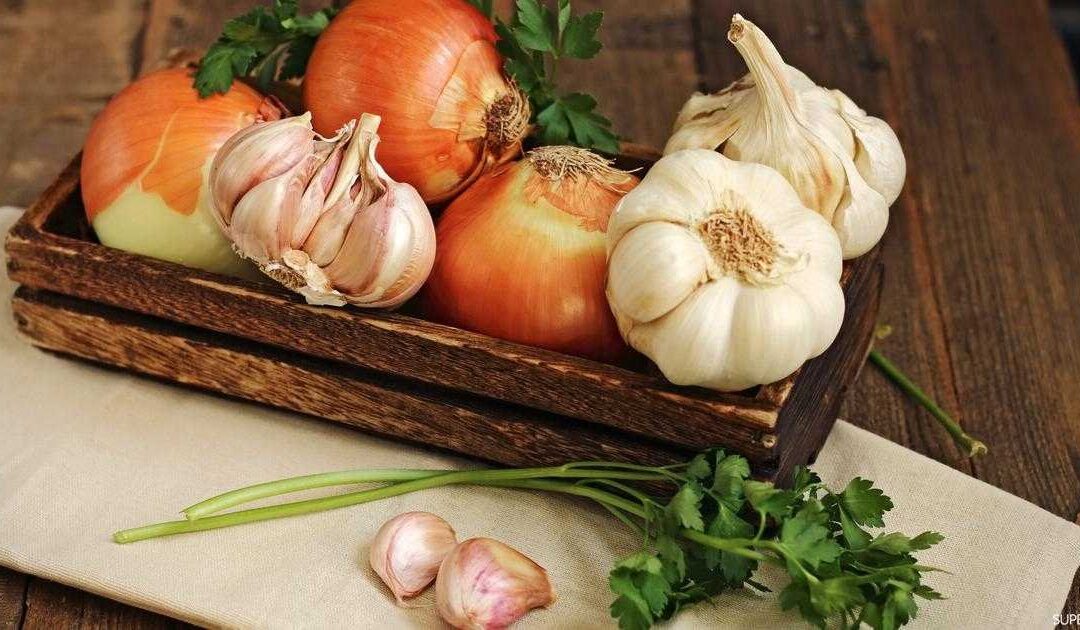 الثوم والبصل.. سر الصحة القوية لجسم الإنسان