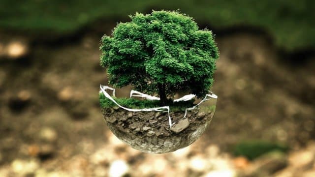 الوسط البيئي.. التحديات والحلول لتحقيق التوازن البيئي
