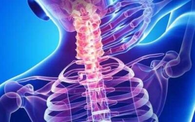 وظائف النخاع الشوكي في جسم الإنسان