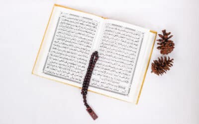 تفسير قوله تعالى.. “إِنَّ كَيْدَكُنَّ عَظِيمٌ”