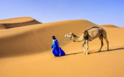 صحاري الوطن العربي: الصحراء العربية
