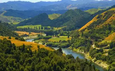 أشهر الأنهار في العالم