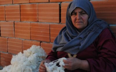 دور المرأة في المجتمع