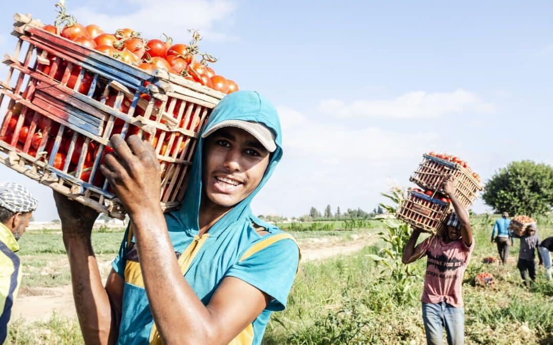 نسبة الشباب في العالم العربي: واقع ديموغرافي بين الفرصة والتحدي